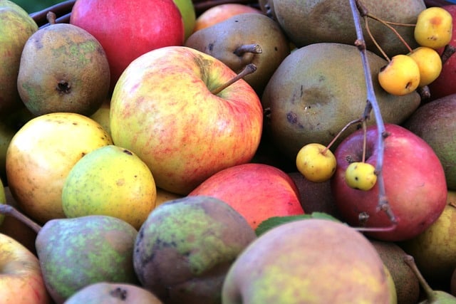 En verden af æblesmag: Opdag forskellige smagsprofiler hos æblesorter